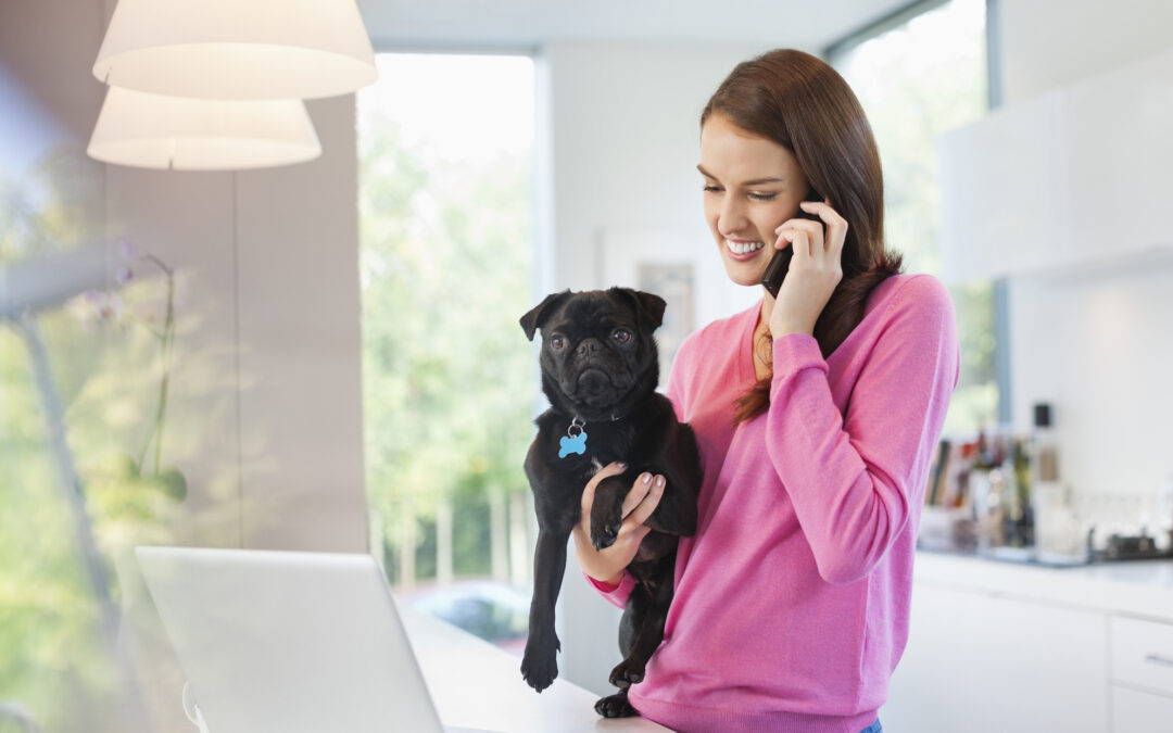 Answering Services vs. Voicemail for Pet Care: What’s Better for Your Business?